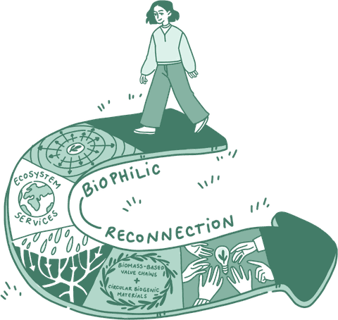 Nature and Cities pathway illustration